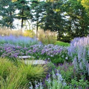 Coastal-Style Garden in Azaiba