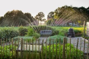 Seeb smart irrigation experts: Smart Irrigation System