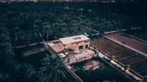 landscape design company Muscat: How to Choose the Best