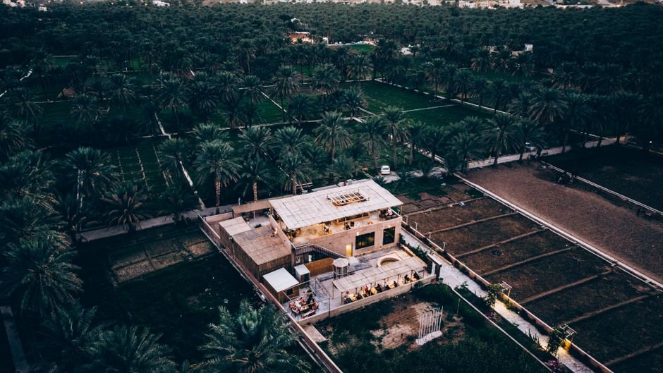Aerial shot of lush oasis with palm trees and a house in Oman, captured at dusk.